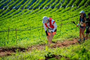 BIB: 
                            <button type="button" onclick="openModal(19161724)" class="btn btn-primary btn-sm float-right btn-popup" data-toggle="modal" data-target=".modal-high-quality">
                        <i class="fas fa-shopping-cart"></i> Add to Cart
                    </button>
                                            <button type="button" onclick="isThisMe(19161724, true)" class="btn btn-success btn-sm float-right btn-popup btn-isme hidden" data-toggle="tooltip" data-placement="bottom" title="นี่คือรูปของคุณใช่ไหม คลิกที่นี่เพื่อเอาเข้าอัลบั้ม">
                        <i class="fas fa-plus"></i> Add to album
                    </button>
                    <button type="button" onclick="isThisMe(19161724, false)" class="btn btn-warning btn-sm float-right btn-popup btn-isnotme hidden">
                        <i class="fas fa-ban"></i> Remove from album
                    </button>